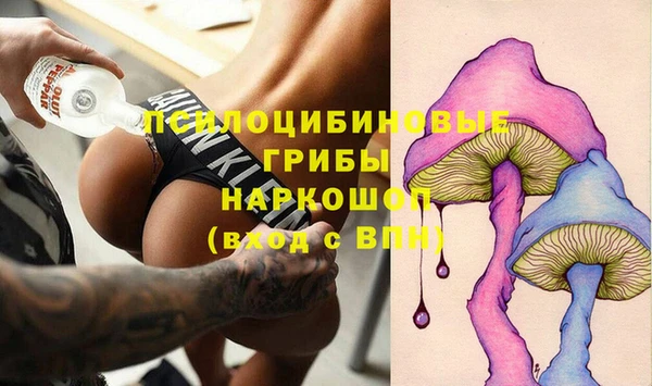 молекула духа Алзамай